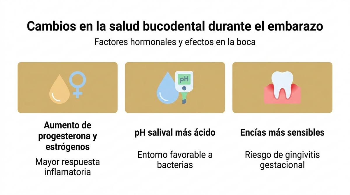 Diagrama con tres bloques que resumen los cambios hormonales y sus efectos en la salud bucodental durante el embarazo.