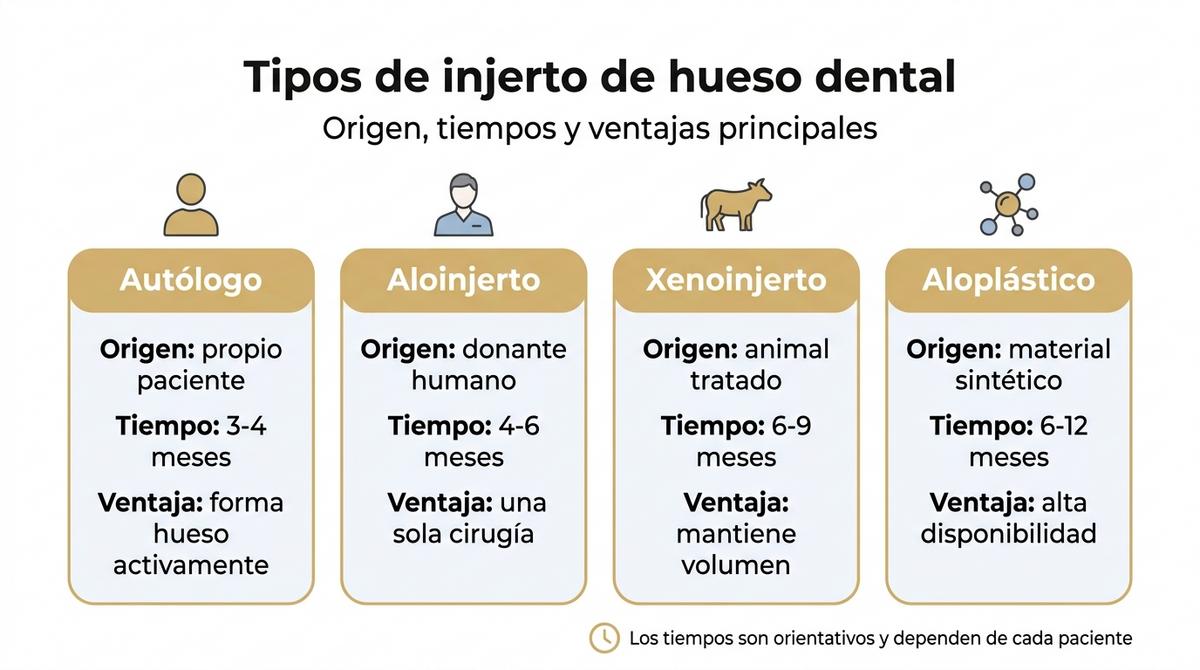 Infografía comparativa de los principales tipos de injerto de hueso dental según origen, tiempo de cicatrización y ventaja principal.